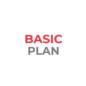 BASIC PLAN